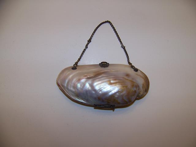 19th Century Shell Purse item na5420