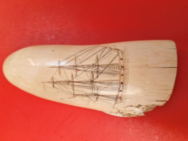 19th Century Polychrome Scrimshaw Sperm Whale's Tooth item as2602