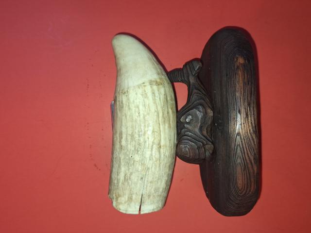 19th Century Folkart Carving and Large Sperm Whale Tooth item as2606